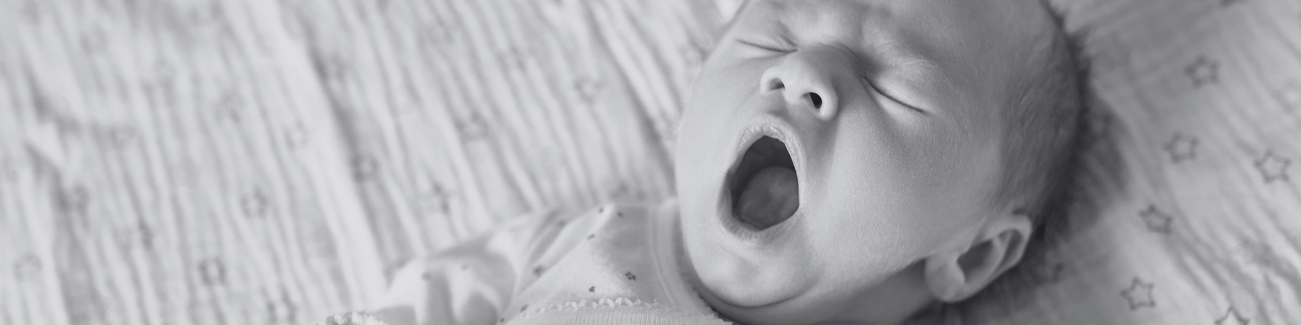 Bannière BabyGreenNight